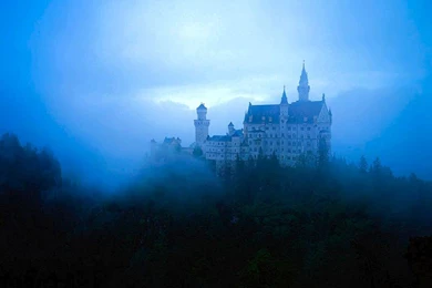 Free Desktop Wallpaper, Forest Fog