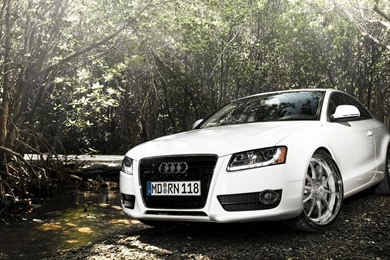 Audi A5 Wallpapers   Car Wallpapers