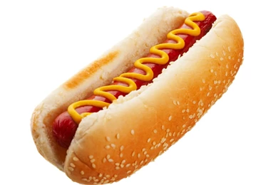 Wiener Dog Pictures   HD Wallpapers Lovely