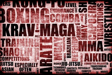 Warrior Combat & Fitness Krav Maga