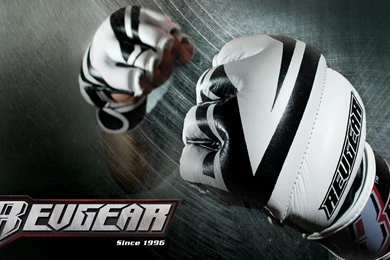 MMA Gloves