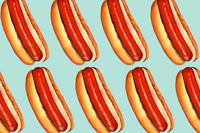 Hot Dog Fabric, Wallpapers & Gift Wrap   Spoonflower