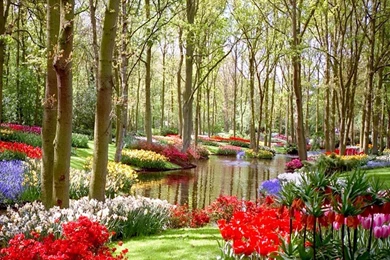 Flowers Images Desktop Backgrounds HD Wallpapers Desktop ...