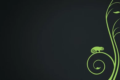 Difficulty Running Gnome In 12.3 On VMware Workstation 9