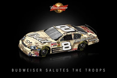 Budweiser Wallpapers Bing Images