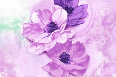 Purple Flowers Patterns, Artistic Flower Illustrations 2   Wallcoo.net