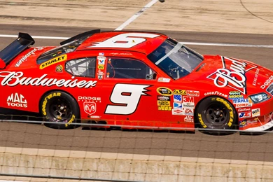 Budweiser Nascar Racing (