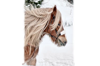 Horses: Clydesdale Budweiser Snow Horse Desktop Background Images ...