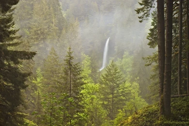 Ed Cooley Fine Art Photography