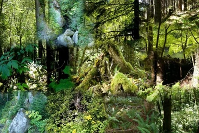 Justpict.com Pacific Northwest Scenery Wallpapers