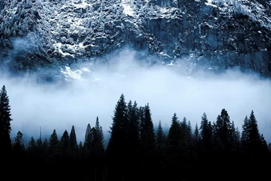 Thank Apple's OS X Yosemite Announcement For This Collection Of ...