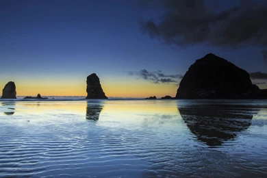 Purely Pacific Northwest4 – Fubiz Media