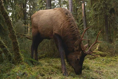 Pacific Northwest, USA