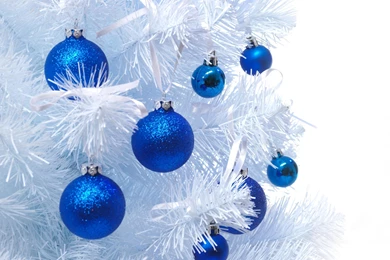 Blue Christmas Tree   1642792