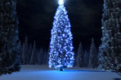 CHRISTMAS Wallpapers   Christmas Tree Blue Design