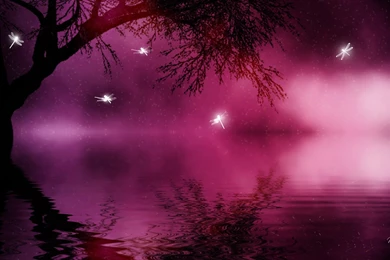 Magical dragonflies hd wallpaper 332923.jpg