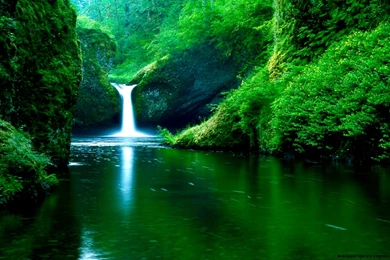 Cool Desktop Backgrounds That Move