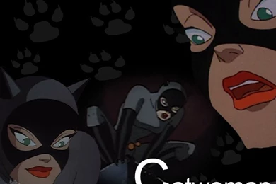 Catwoman   Batman: The Animated Series Wallpapers (7016493)   Fanpop