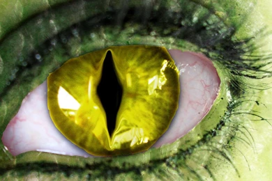 Snakeeye   DeviantArt