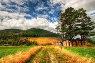 New Zealand Nature Wallpapers   677959