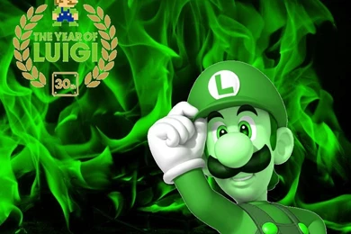 1024x768 Luigi 30th Anniversary Wallpapers By MaxiGamer On DeviantArt