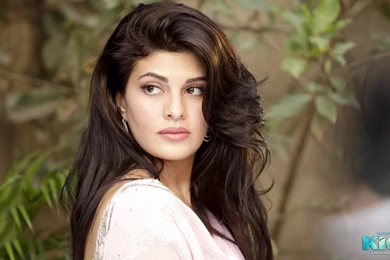 Jacqueline Fernandez Cute Lovely Wallpapers   HDwallpaper4U.com
