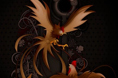 Virtual Cock Fight By Mimama On DeviantArt