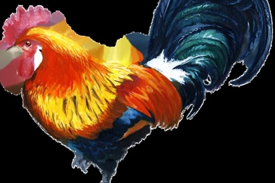 DeviantArt: More Like Coq   Cock PNG By Cendredelune