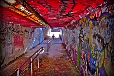NC State Free Expression Tunnel