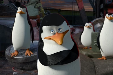 Madagascar 3: Europe's Most Wanted (2012) – Character Wallpapers ...