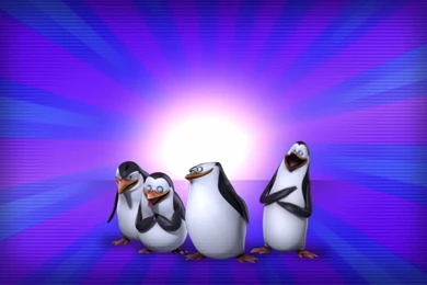 The Penguins Of Madagascar   Penguins Of Madagascar Wallpapers ...