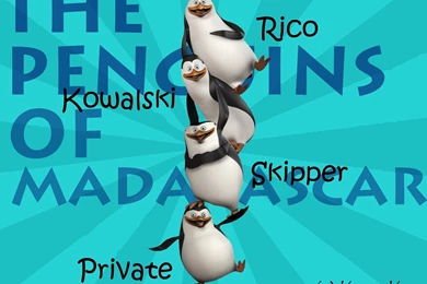 Custom Made Penguins Of Madagascar Wallpapers   Penguins Of ...