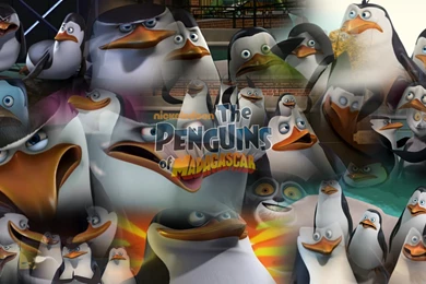 The Penguins Of Madagascar Collage By: PenguinStyle   Skipper ...