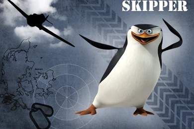 Skipper   Penguins Of Madagascar Wallpapers (27239108)   Fanpop