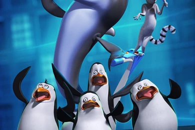 1000x1250 The Penguins Of Madagascar Wallpapers And Photos