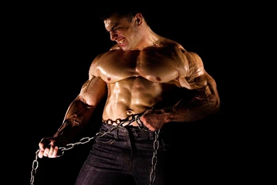 Wallpapers Of Body Builder   Wallpapers Cave