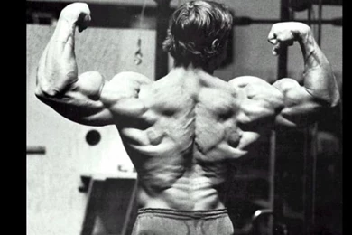 Wallpapers Bodybuilder Arnold Schwarzenegger Bodybuilders ...