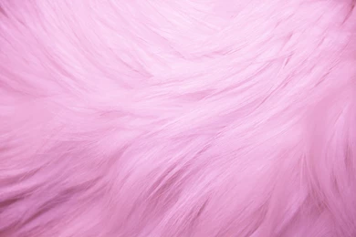 Pink Fur Wallpapers   Wallpapers HD Fine