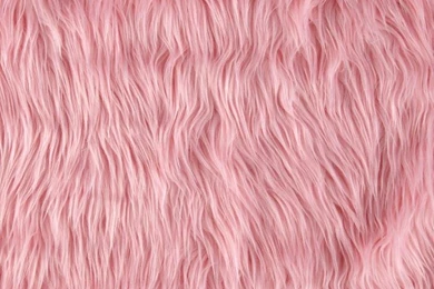 Which Classic Care Bear Would You Be?