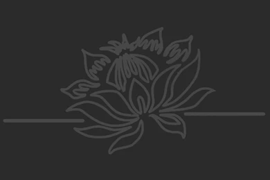 Pictures Of Black Flowers   HD Wallpapers Pretty