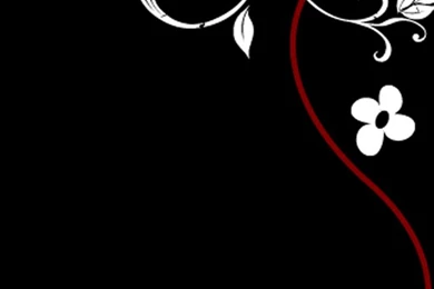 HD Flower Wallpapers Free: Black Flower Wallpapers