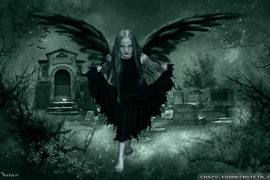 Wallpapers Archives   Page 3 Of 69   WallOXS.comWallOXS.com