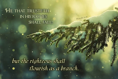 Proverbs 11:28 Wallpapers   Christian Wallpapers And Backgrounds