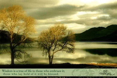 Proverbs 3:18 Wallpapers   Free Nature Desktop Backgrounds