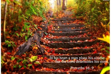 Book Of Proverbs Wallpapers (3)