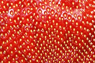 Strawberry Backgrounds   A Photo On Flickriver