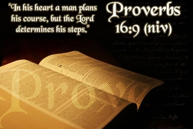 Wallpapers Tithes Proverbs Scripture Bible Picture Hd For Your ...