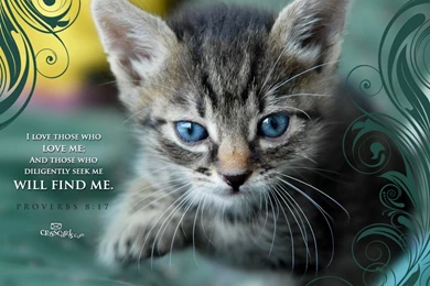 Proverbs Wallpapers And Backgrounds