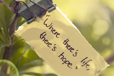 Proverbs iPhone Wallpapers