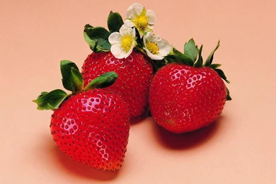 326 Strawberry HD Wallpapers
